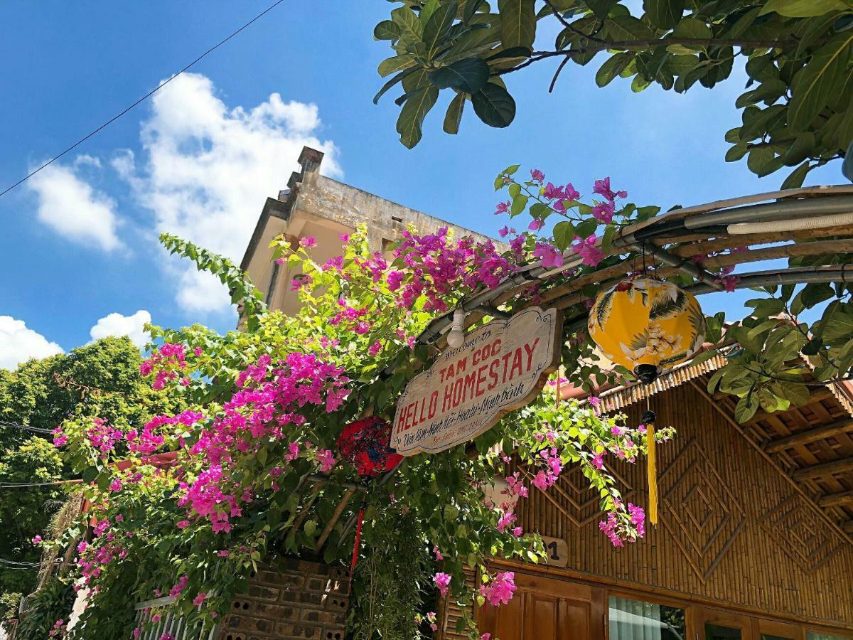 Tam Coc Hello Homestay Ninh Bình Exteriör bild